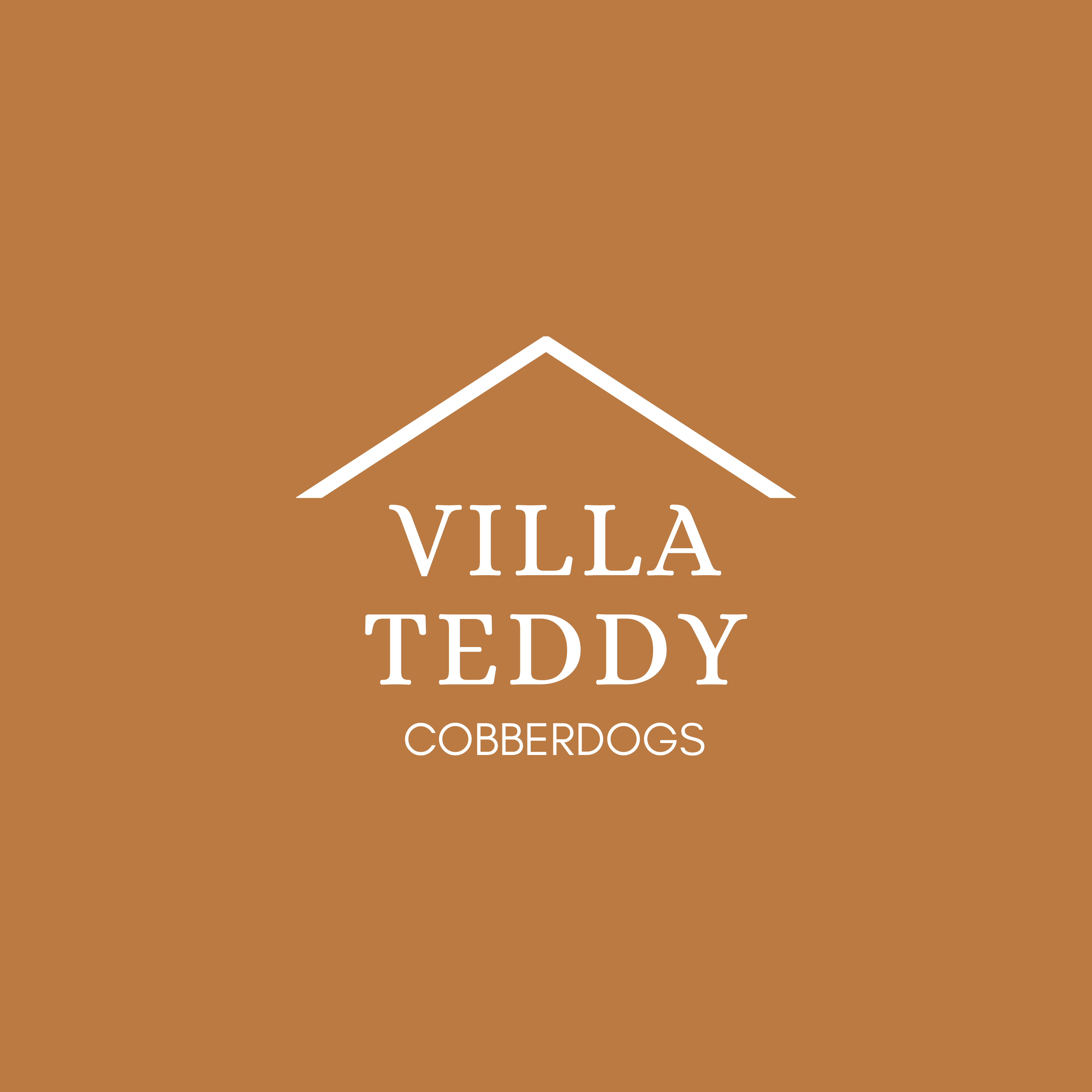 Villa Teddy