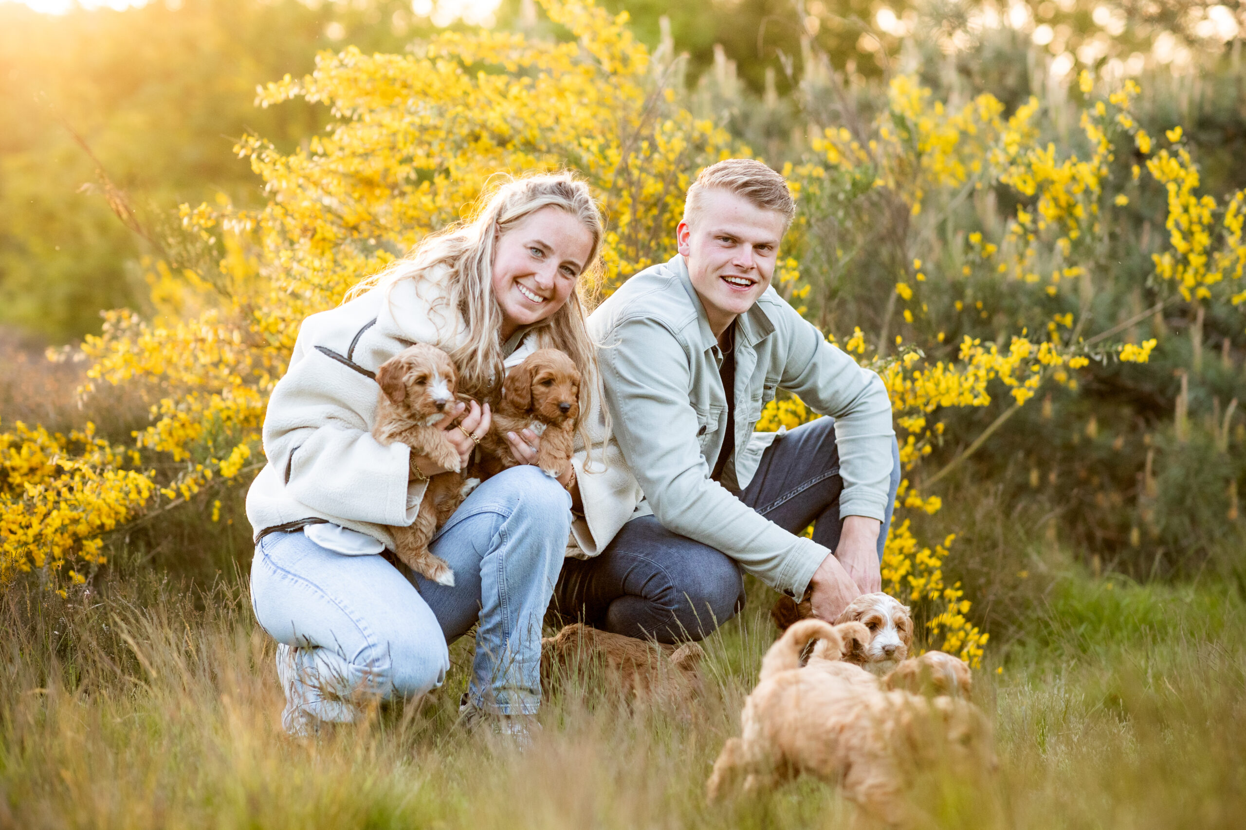 008_20230519_Pretty_Paws_honden_fotografie_Teddy_Eerste_Nestje_HR